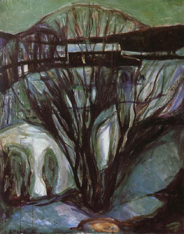 Edvard Munch Winter